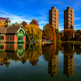 Central Park by Jose De La Cruz - Landscapes Forests