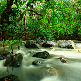 Green by Nazri Rahman - Landscapes Waterscapes