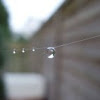 dewdrop on Walnut orb-weavers web
