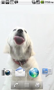 How to mod Screen Cleaner Annie LWP 1.0 mod apk for laptop