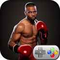 Boxing Fight 3D icon