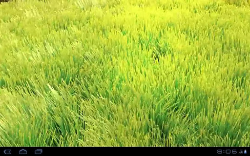 【免費個人化App】Grass And Wind Live Wallpaper-APP點子