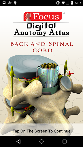 BACK AND SPINAL CORD - ATLAS