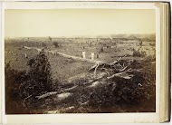 Gezicht op de velden met jonge tabak, Langkat Sumatra