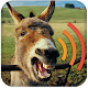 Donkey Sounds Prank APK