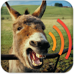 Install Sports Donkey