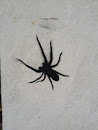 Spider Art