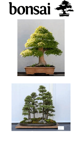 【免費生活App】Bonsai-APP點子