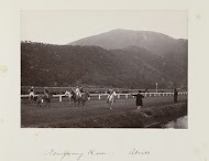De start van een paardenrace op een baan in Hong Kong