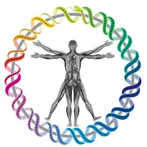 Med Quiz Free.apk 1.0