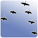 AreaChat (Bluetooth Chat Room) logo