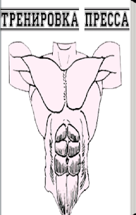 Free Пресс тренировки APK for PC