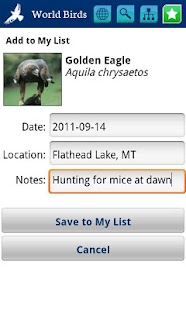 World Birds Demo Screenshots 3