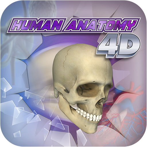 PlayAR Human Anatomy Chart LOGO-APP點子