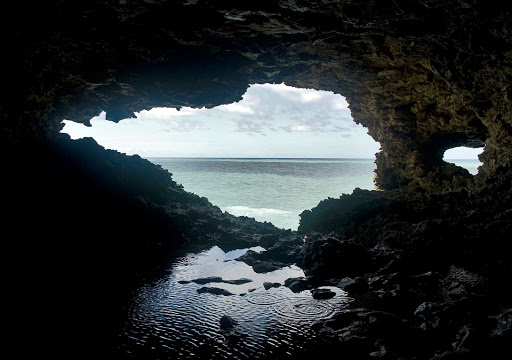 The Animal Flower Cave is located under the cliffs at the Northern tip of Barbados. 