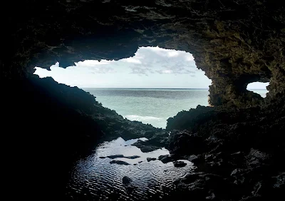 The Animal Flower Cave is located under the cliffs at the Northern tip of Barbados. 