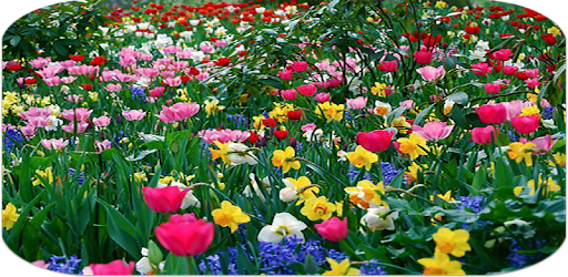 Descargar Fondos De Pantalla De Primavera Para Pc Gratis Ultima