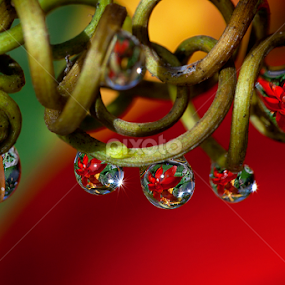 by Charlie Rosadi - Abstract Macro