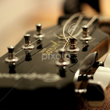 by Biljana Nikolic -  