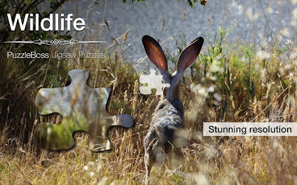 Wildlife Jigsaw Puzzles Demo poster 1