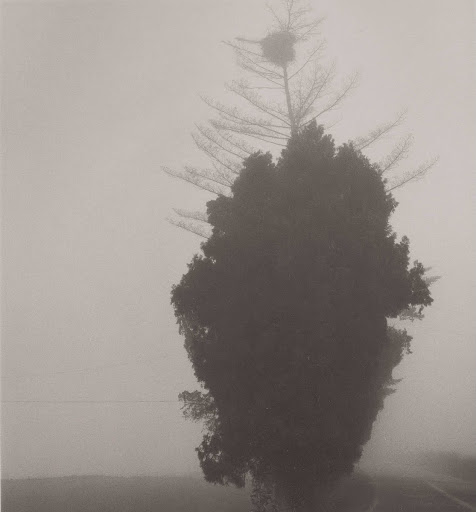 Deep Fog, DF 005 BHM