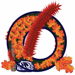 Omnibus Writer Pro logo