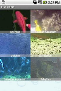 Lastest Fish Cams APK