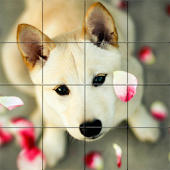 Lucu Anjing Puzzle