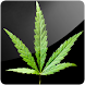 3D Grass