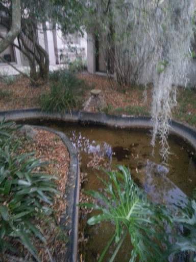 Fountain and Water Garden 