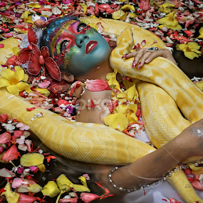 .:: Beauty & Snake ::. by Adee Irawan - People Portraits of Women