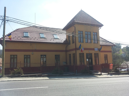 Primaria Feleacu