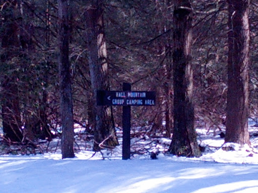 Hall Mountain Group Camping Area