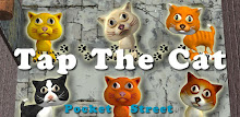 Tap the Cat – Pocket Street APK