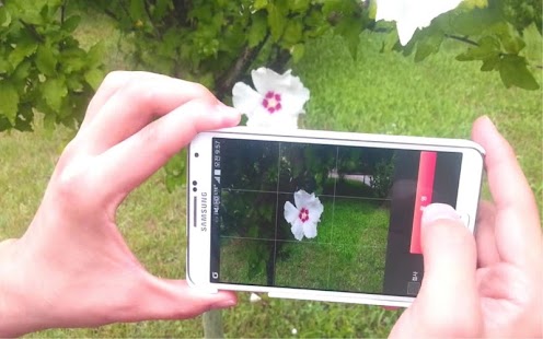 Download 자연 ( 꽃, 잎, 곤충, 버섯, 물고기 ) 영상인식 APK for Android