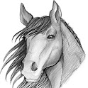 Sketch Guru