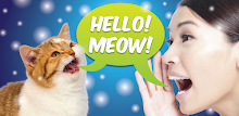 Cat Language Translator by Dexati APK