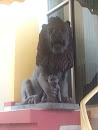 The Lion At Agra Court