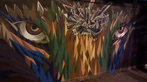 Graffiti Rua Francisco Cruz