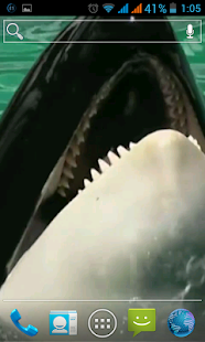 How to install Killer Whale Live Wallpaper 1.0 apk for android
