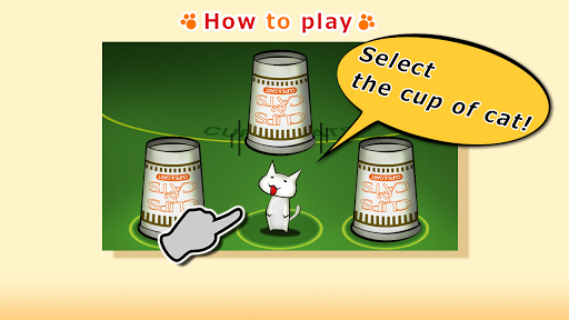 CUPS CATS