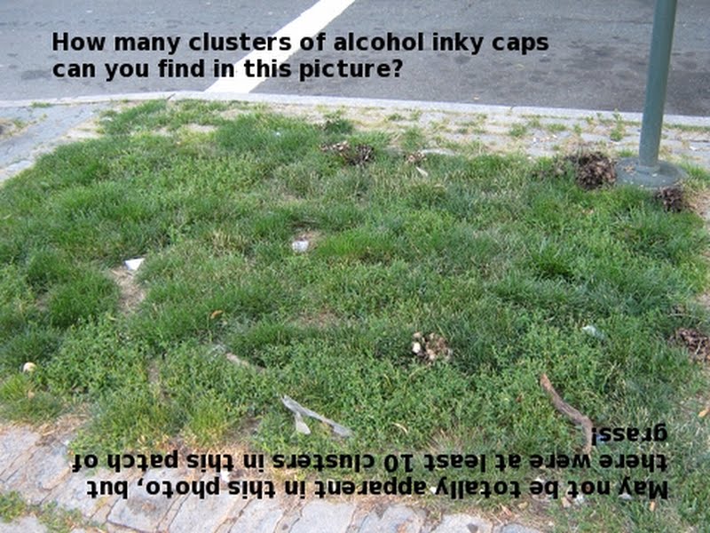 Multiple clusters of Alcohol Inky Caps