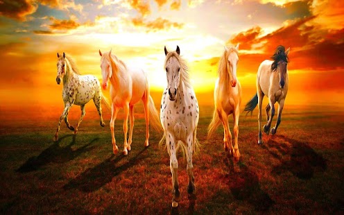Horse Wallpaper Screenshots 0