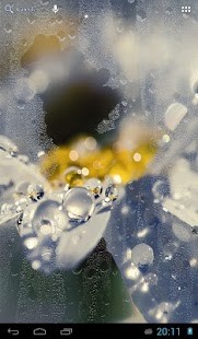 How to get Rain behind glass 0.7 mod apk for laptop