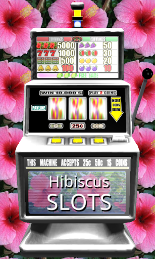 3D Hibiscus Slots - Free