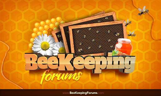 Free Download Beekeeping Forum APK