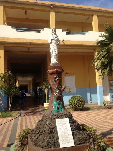 Hospital Psiquiatrico Estatua Jesus