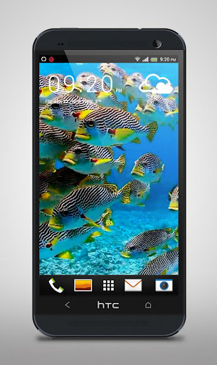 免費下載個人化APP|Flock of Colorful Fish Live WP app開箱文|APP開箱王