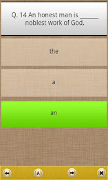 Grammar Express: Correct Usage poster 4