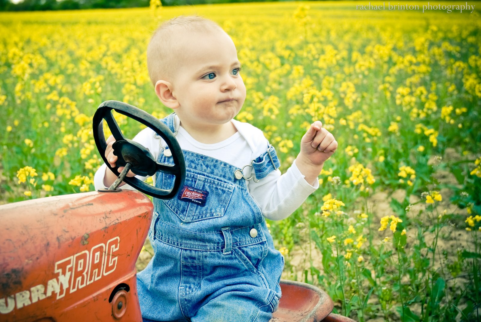 [May 2008-831[9].jpg]